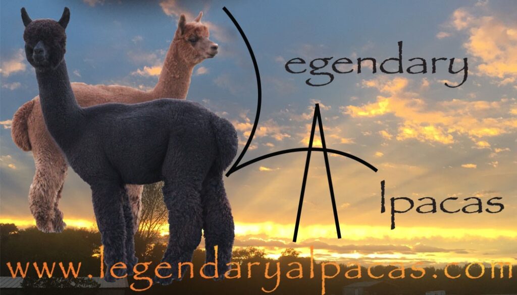Legendary Alpacas