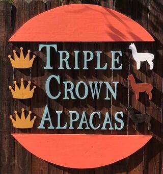Triple Crown Alpacas