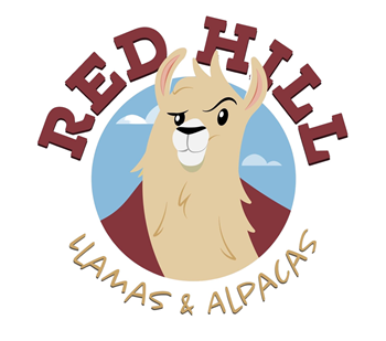 Red Hill Llamas & Alpacas