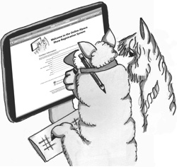 Alpaca Show Registration System Logo