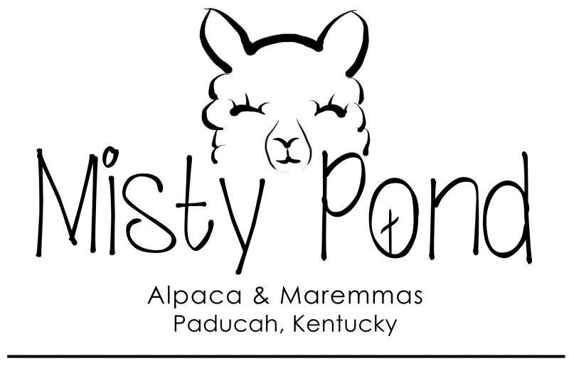 Misty Pond Alpacas & Maremmas Logo