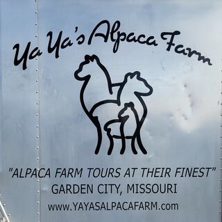 YaYa's Alpaca Farm