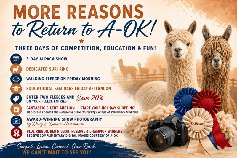 More Reasons to Return to A-OK!