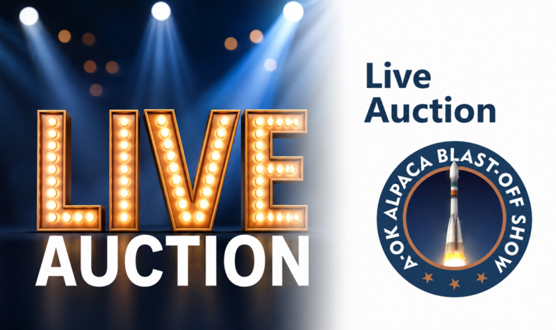 A-OK Live Auction