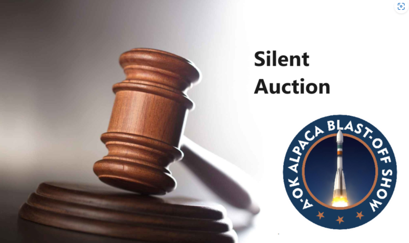 Silent Auction