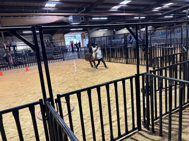 McClain County Free Fair Youth Participant