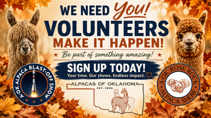 We Need You! Volunteers Make It Happen!